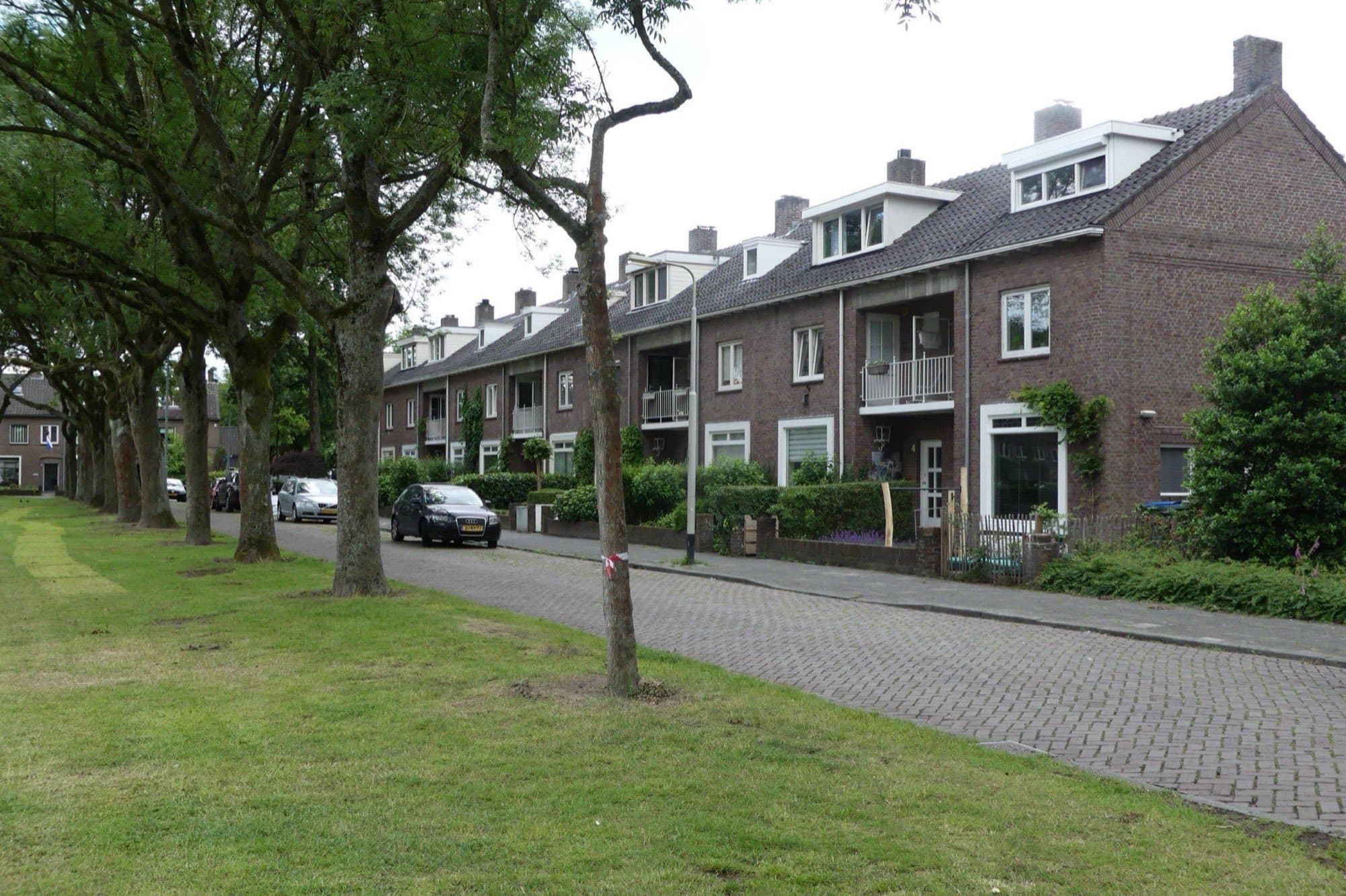 Groene laan met rijtjeshuizen van twee lagen met dakkapellen aan de Witte de Withweg in de wijk Boeimeer in Breda.
