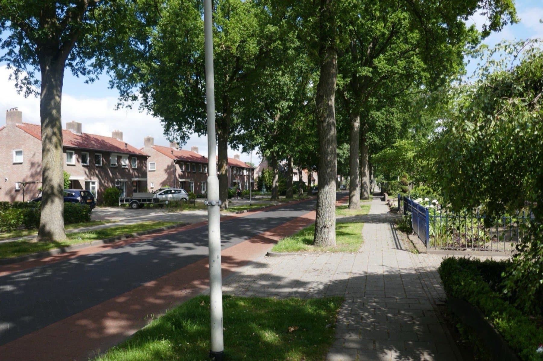 Groene woonstraat met hoge bomen, een grasberm en bakstenen rijtjeshuizen aan de Sint Jozefstraat in Deurne, op een zonnige zomerdag.