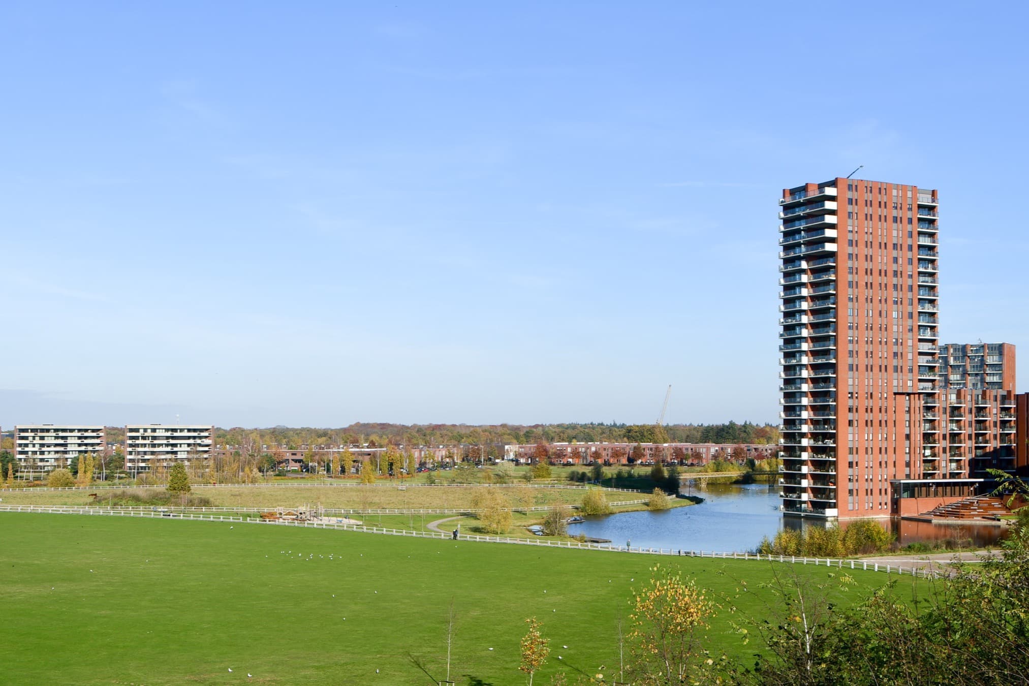 Weids grasveld met een vijver in de wijk Meerhoven in Eindhoven, met rechts een hoge bakstenen woontoren en laagbouw aan de horizon.
