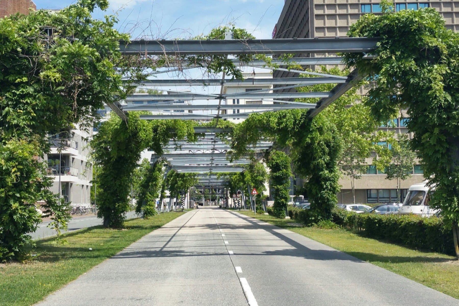 Busbaan op Strijp-S in Eindhoven onder een stalen pergola begroeid met klimplanten, met het voormalige Philipsterrein op de achtergrond.