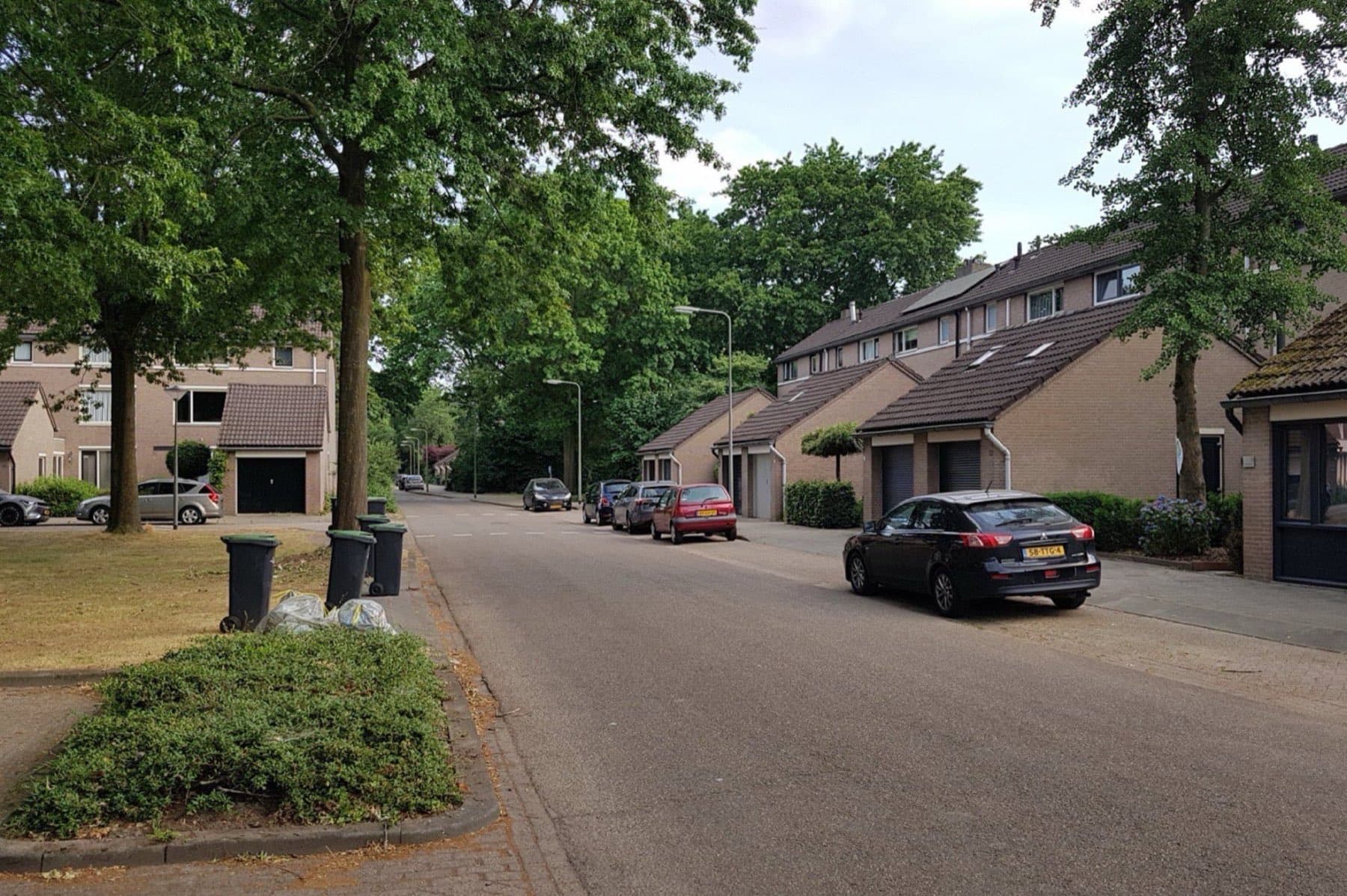 Groene woonstraat met rijtjeshuizen in jaren-zeventigstijl en volwassen bomen aan de Sibeliuslaan in de Osse wijk Ruwaard.