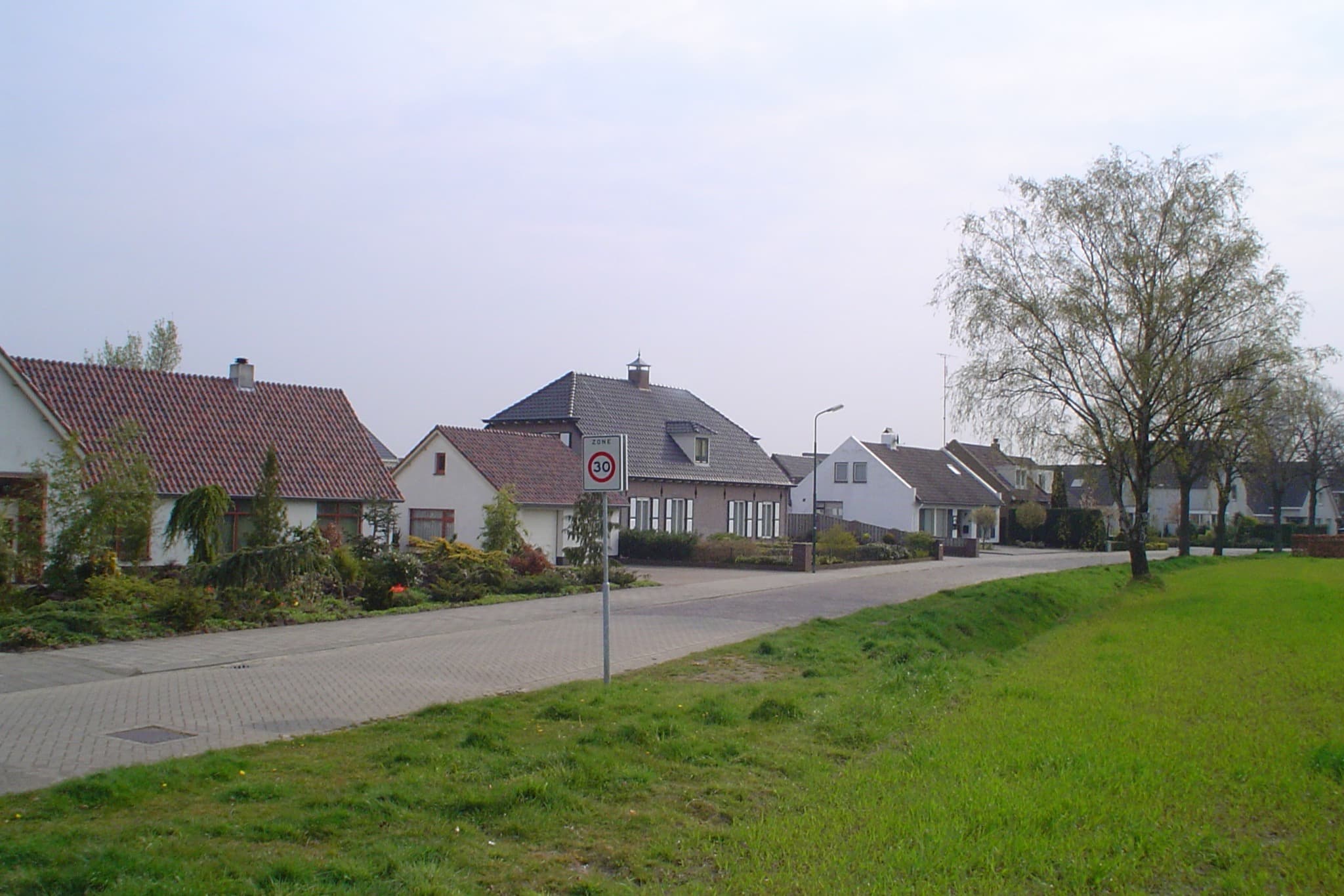 Vrijstaande en geschakelde woningen met rode en grijze pannendaken langs een groene berm aan de Djept in Veldhoven.